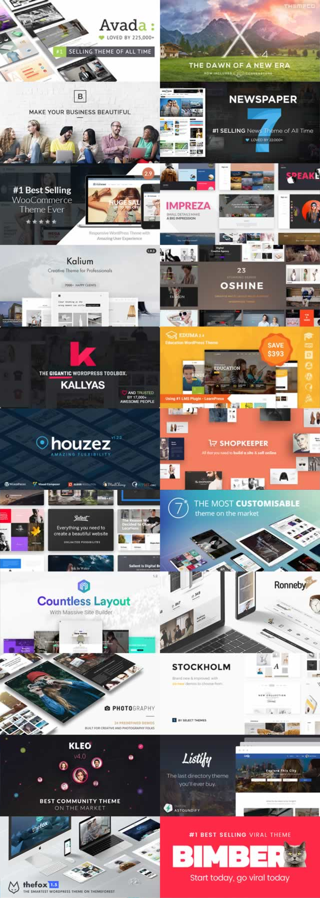 Web Development Collage